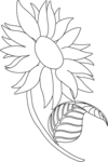 SunFLower-1961.gif